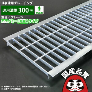 aW O[`O 300mm Ua p aӂ a t^  v[^Cv a 300p p OKYU 30-16 { 쏊 I[P[O[`O [₢킹pԍ R257]