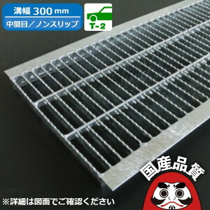 �a�W �O���[�`���O 300mm U���a �p �a�ӂ� ���a �t�^ ���Ԗ� �m���X���b�v�^�C�v �a�� 300�p T-2 OKUN-M3 30-25 �������z����i�����\�]�����i ���{�� �������쏊 �I�[�P�[�O���[�`���O [���₢����