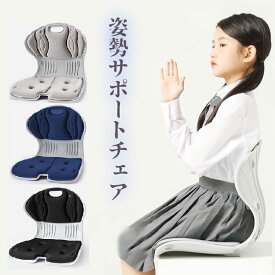 【ポイント3倍】Gadeel 姿勢チェア 座布団 骨盤サポートチェア 敬老の日 プレゼント 腰枕 腰当て 姿勢サポートチェア ランバーサポートクッション シートクッション 人間工学 猫背改善 椅子として使用可能 持運び簡単 テレワークギフト