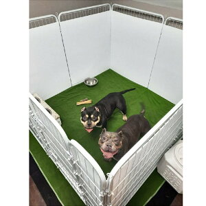 y1_6%A2_11OFFN[|zybg}bg ybgvC}bg  L h 唻 ~ h pe΍  NbV}bg 􂦂ybgV[c ~ }bg @Ŋې J