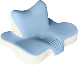 y1_6%A2_11OFFN[|zԂ ᔽ w NbV  s[    T|[g zŃT|[g Q hV̓ v[g sp Q