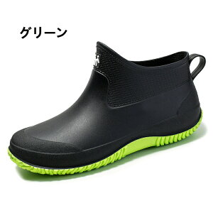 CV[Y Y fB[X ꂢ񂵂[ JC V[g y Sh ~J΍ 䕗 ʋ ʊw ނ  ₷ L _ K[fjO fB[XC hC