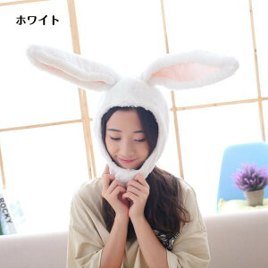 ̎  Ԃ nEB Xq Aj} NX}X  ETM  蕨 RX`[ ]  nEBRXv RXv YN