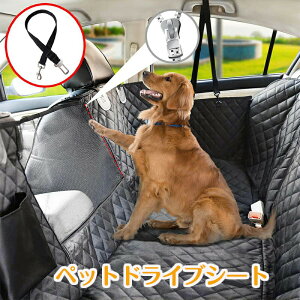 ybgphCuV[g 㕔ȗp bV ԗp ybgV[g h h~ Sxgt ~ SԎ S팢pLp ܂ݎJo[