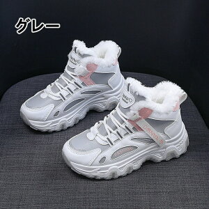 Xm[u[c fB[X ~ h hu[c {A Xm[V[Y C V[gu[c AEghA fB[X u[c  [Nu[c r ~C