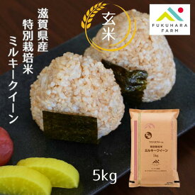 【フクハラファーム公式】ミルキークイーン 玄米 5kg 特別栽培米 令和7年産 滋賀県産 彦根市 ご飯 お米　国産100％　環境こだわり農産物