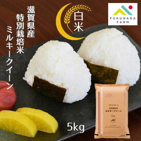 【フクハラファーム公式】 白米 ミルキークイーン 5kg ミルキークィーン お米 精米 5キロ 特別栽培米 令和7年産 ご飯 国産100％ 環境こだわり農産物 滋賀県産 彦根市