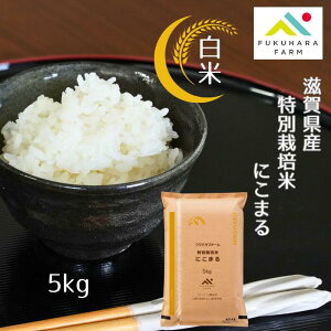 VāytNnt@[z  ɂ܂ 5kg  5L  ʍ͔| ߘa7NY  Y100 _Y ꌧY Fs