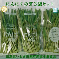 【楽天1位】 国産【にんにくの発芽3袋セット】 1袋160g 3袋セット 福島県産 国産にんにくの芽 発芽にんに…