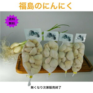 新玉にんにく【にんにくの新玉 粒20個位×4ネット】ニンニク 福島県産 ニューホワイト種 ガーリック 高級 調味料 スタミナ 健康食品 美容 お取り寄せ プレゼント 健康 ダイエット 免疫力 生