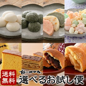 送料無料 宅配便 お試し単品 餅の田中屋 1861年創業 | お試し 選べる 白餅 草餅 とぼ餅 こつぶちゃん もちもちカステラ 羽二重バーム 焼きまんじゅう 酒まんじゅう 餅 もち 丸餅 丸もち 白もち 斗棒餅 とぼもち 蓬餅 羽二重餅 おかき あられ アラレ かすてら 饅頭 どら焼き