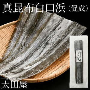 l ^z  100g 2 c iNn | Y kC Y lY lz ^zl z   o` z  Ԃ o` zo` Ԃ 