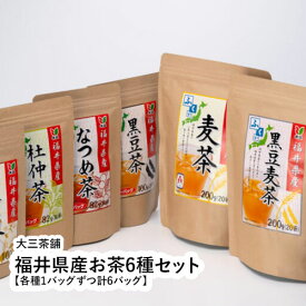 福井県産お茶6種セット【各種1バッグずつ計6バッグ】