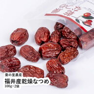 福井産乾燥なつめ　100g×2袋