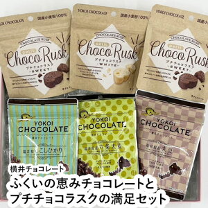 ӂ̌b݃`R[gƃv``RXN̖Zbgy䌧 s `R\g@`R\gz