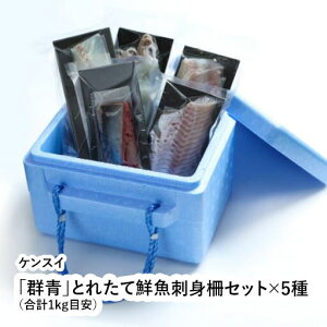 uQvƂꂽđNhgZbg×5iv1kgڈjڈ͖TԌy䌧 s PXCz