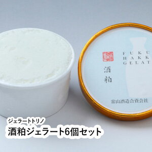 酒粕ジェラート6個セット 【福井県 福井市 発酵ジェラート ジェラートトリノ】