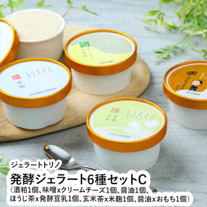 発酵ジェラート6種セットC(酒粕1個、味噌xクリームチーズ1個、醤油1個、ほうじ茶x発酵豆乳1個、玄米茶x米麹1個、醤油xおもち1個) 【福井県 福井市 発酵ジェラート ジェラートトリノ】