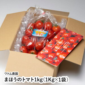 ܂ق̃g}g1kgi1Kg×1܁j y䌧 s g_z