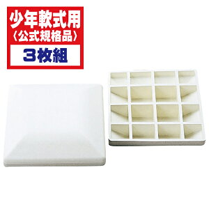 MIZUNO ~Ym Npx[X iKii) 31g 16JAB22700y싅 pi x[X N싅z