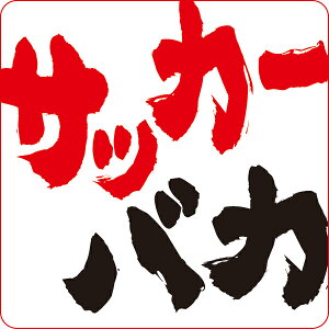 yz IWiXebJ[ TbJ[oJ (2g) STICKER-203yXebJ[ V[ ʔV[  Z w Nu  TbJ[z