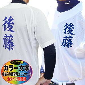 MIZUNO ~Ym 싅jtH[ ؃vg J[ OKpjtH[Vc S^Cv (WjA) 12JC2F-12JC8F-jr-Cy싅 \tg{[ jtH[ K l[ O 