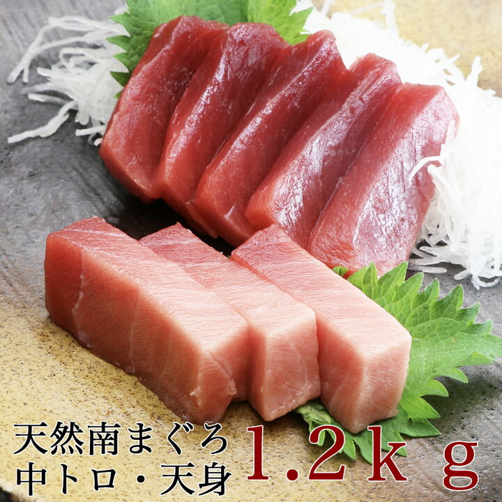 超人気 マグロ刺身 訳あり 中トロ 赤身 天然南まぐろ 福袋 1 2kg 送料無料 Riosmauricio Com