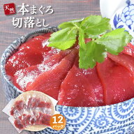 マグロ 刺身 赤身 小分け 本まぐろ赤身切り落とし80g×12 86280