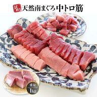 マグロ 刺身 訳あり 中トロ 天然　南まぐろ中トロ筋1kg 80583