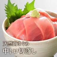 マグロ 中トロ 訳あり 包丁・まな板不要で焼津直送の天然南まぐろが食べられる！ 中トロ切落し80g