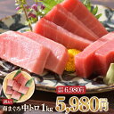 マグロ 刺身 中トロ【1,000円OFF 6/21迄】訳あり 父の日 50代 60代 ミナミマグロ中トロ1kg 80278