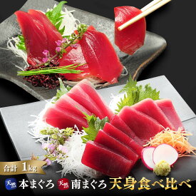 マグロ 刺身 訳あり 赤身 福袋 2大まぐろ天身（てんみ）食べ比べ福袋 南マグロ 本マグロ 1kg 86114