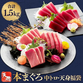 マグロ 刺身 中トロ 天身 福袋 訳あり 天然本マグロ中トロ&天身福袋 1.5kg 86120