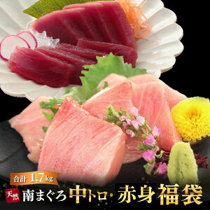 }O hg 󂠂 g Ԑg ؂藎Ƃ  VR܂뒆gԐg 1.7kg