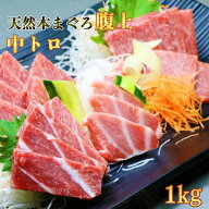 マグロ 刺身 訳あり 中トロ 本マグロ 腹上中トロ1kg　ワンランク上の中トロ 80566　お一人様1個
