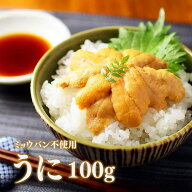 うに ウニ ギフト 雲丹 無添加うに100g 80315