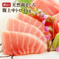 マグロ 中トロ 訳あり 刺身 天然南まぐろ腹上（はらかみ）1kg　ワンランク上の中トロをお楽しみください…