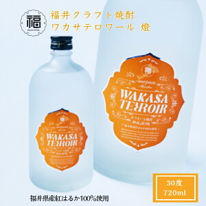 ワカサテロワール燈 芙蓉酒造 福井県産紅はるか100%使用 720ml 1本 クラフトさつまいも焼酎