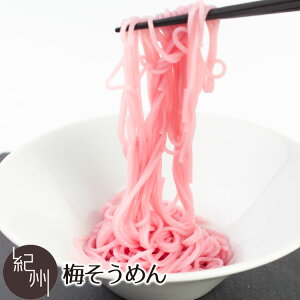 梅 そうめん 食品の通販 価格比較 価格 Com