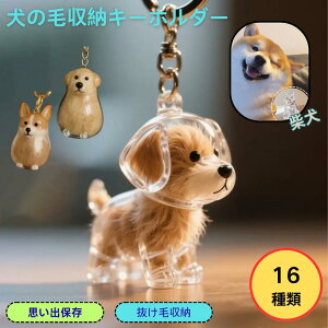 y̎vo`Ɂz̖ю[L[z_[ AybgObY  P[X {g^ ѓ ыʓ gCv[hČɂΉ AObY v[