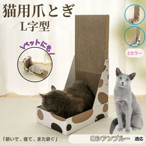 y10{|CgzVAu[L VA L^ ܂Ƃ Lp LbgXNb` L^XNb`[ i{[ 4w v  芴 ϋv  p ƋLYh~ XgXU 