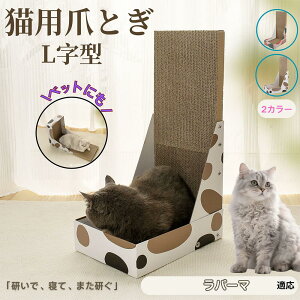 y5{|Cgzp[}L p[} L^ ܂Ƃ Lp LbgXNb` L^XNb`[ i{[ 4w v  芴 ϋv  p ƋLYh~ XgXU 