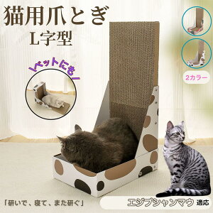 y10{|CgzGWvV}EL GW}E L^ ܂Ƃ Lp LbgXNb` L^XNb`[ i{[ 4w v  芴 ϋv  p ƋLYh~ XgX