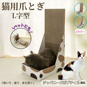 y5{|CgzWpj[Y{ueCL Wp{u L^ ܂Ƃ Lp LbgXNb` L^XNb`[ i{[ 4w v  芴 ϋv  p ƋLYh~ X