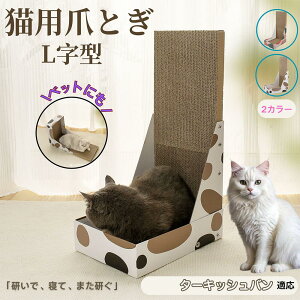 y10{|Cgz^[LbVoL o L^ ܂Ƃ Lp LbgXNb` L^XNb`[ i{[ 4w v  芴 ϋv  p ƋLYh~ XgXU 