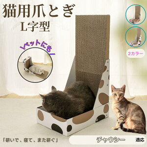 y5{|Cgz`EV[L `EV[ L^ ܂Ƃ Lp LbgXNb` L^XNb`[ i{[ 4w v  芴 ϋv  p ƋLYh~ XgXU 