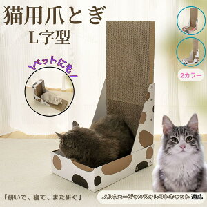 y5{|CgzmEF[WtHXgLbgL L^ ܂Ƃ Lp LbgXNb` L^XNb`[ i{[ 4w v  芴 ϋv  p ƋLYh~ X