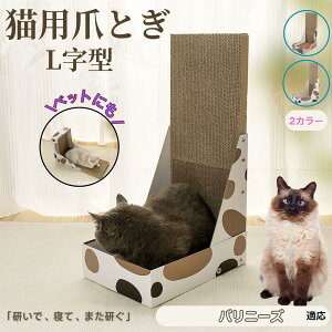 y5{|Cgzoj[YL oj[Y L^ ܂Ƃ Lp LbgXNb` L^XNb`[ i{[ 4w v  芴 ϋv  p ƋLYh~ XgXU 