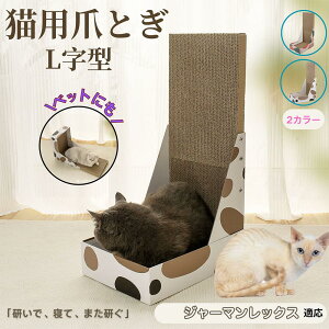 y5{|CgzW[}bNXL W[} L^ ܂Ƃ Lp LbgXNb` L^XNb`[ i{[ 4w v  芴 ϋv  p ƋLYh~ Xg