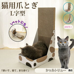 y10{|CgzVg[L Vg[ L^ ܂Ƃ Lp LbgXNb` L^XNb`[ i{[ 4w v  芴 ϋv  p ƋLYh~ Xg